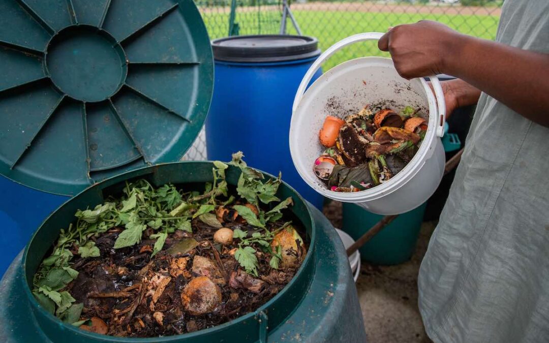 Quel type de composteur choisir ? Bois, plastique, bokashi…