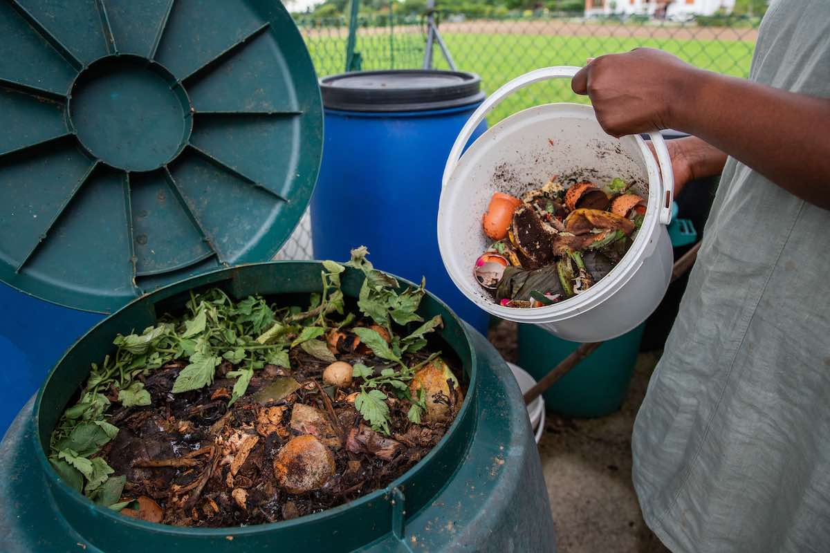 Quel compost choisir ?